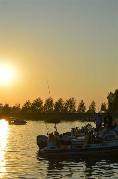 Fishing Rynfield Angling .